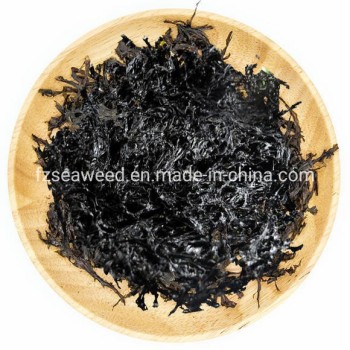 OEM Product Health Seaweed Dried Nori for Food Cooking