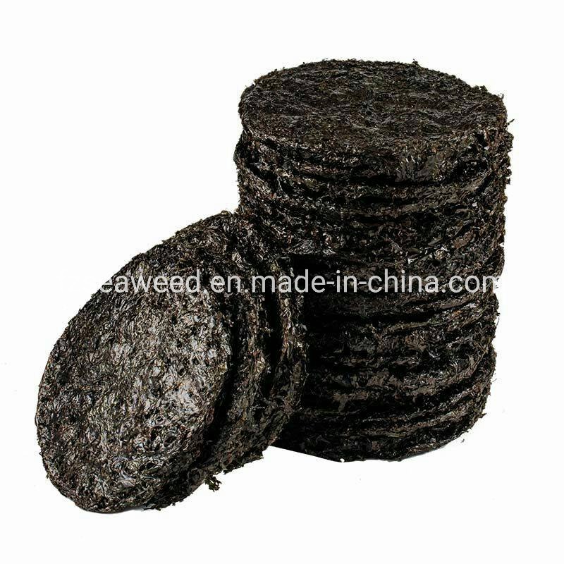 OEM Product Health Seaweed Dried Nori for Food Cooking