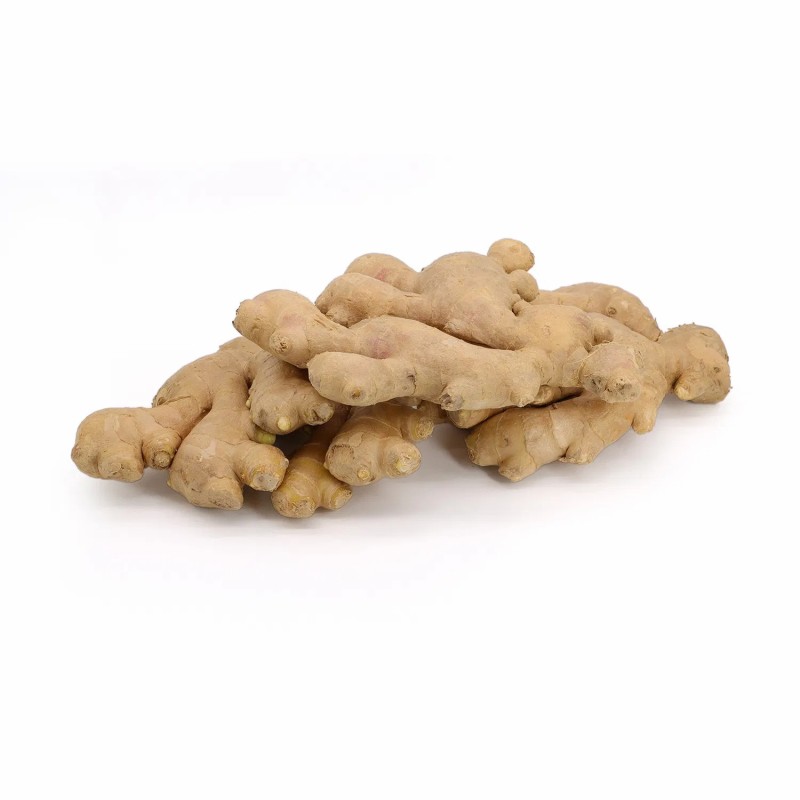 2022 New Crop High Quality Chinese Fresh Ginger for Sale