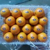 New Crop Navel Orange Super Quality