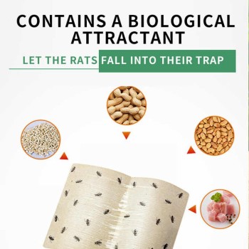 Outdoor Waterproof Insect Catcher Trap