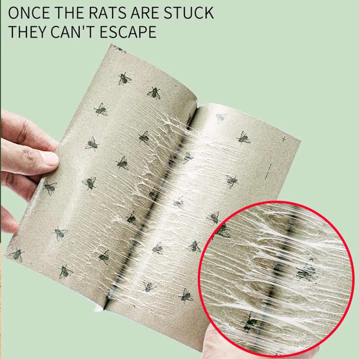 Outdoor Waterproof Insect Catcher Trap