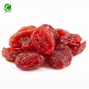 New Crop Fruit Product Dry Fruits Dried Cherry