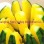 Hybrid F1 Yellow Flesh Watermelon Seeds for Growing-Yellow Cream