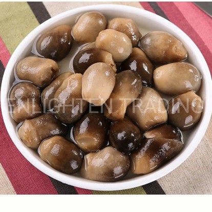 Ingredients Sushi Cooked Edible Straw Mushroom in Glass Jar