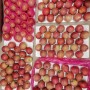 Bangladesh Favorite Fresh Non Bag FUJI Apple Size 138-198
