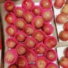 Bangladesh Favorite Fresh Non Bag FUJI Apple Size 138-198