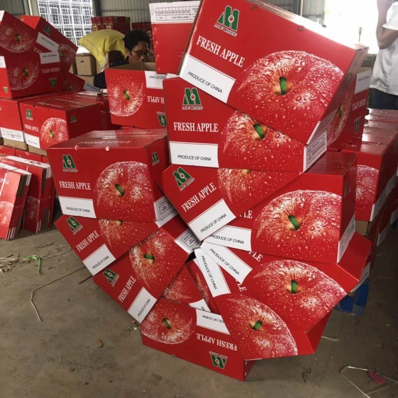 Bangladesh Favorite Fresh Non Bag FUJI Apple Size 138-198