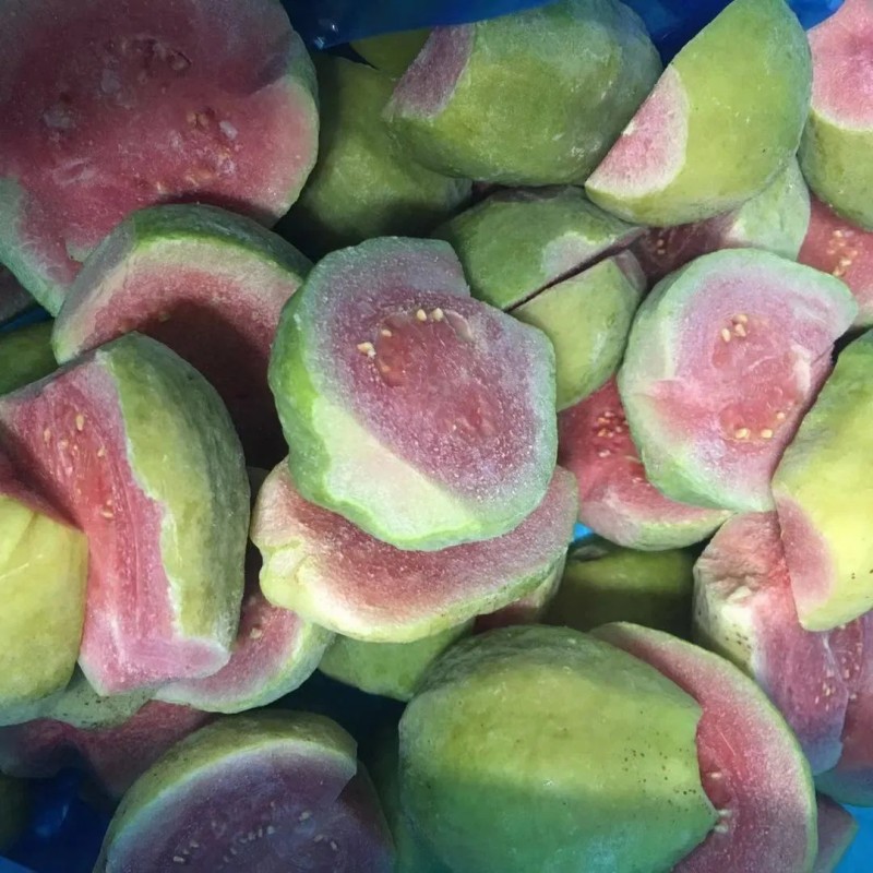IQF Frozen Guava Dice for Export