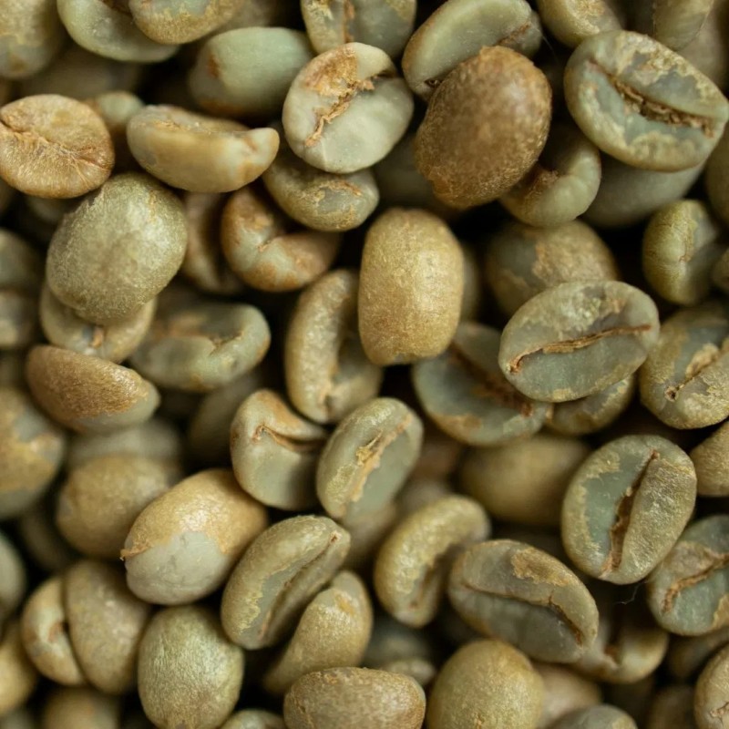 Wholesale 100% Natural Arabica Green Coffee Beans Raw Coffee Beans