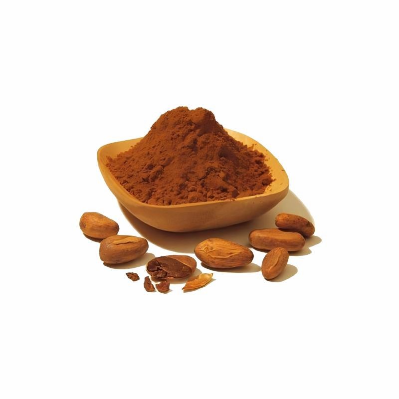 Support OEM/ODM Natural Cocoa Powder/Cacao Powder Low Fat 100% Pure Raw Cocoa Powder
