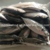 Big Size Hardtail Scad Fish for Sale
