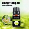 Factory Wholesale Perfume Oil Ylang Ylang Oilessential Oil