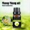 Factory Wholesale Perfume Oil Ylang Ylang Oilessential Oil