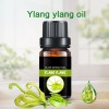 Factory Wholesale Perfume Oil Ylang Ylang Oilessential Oil