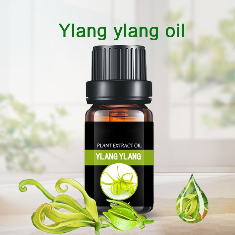 Factory Wholesale Perfume Oil Ylang Ylang Oilessential Oil