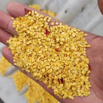 Specialized Chilli Paprika Pepper Factory Export Sweet Paprika and Hot Chilli Seeds Sweet Pepper Capsicum