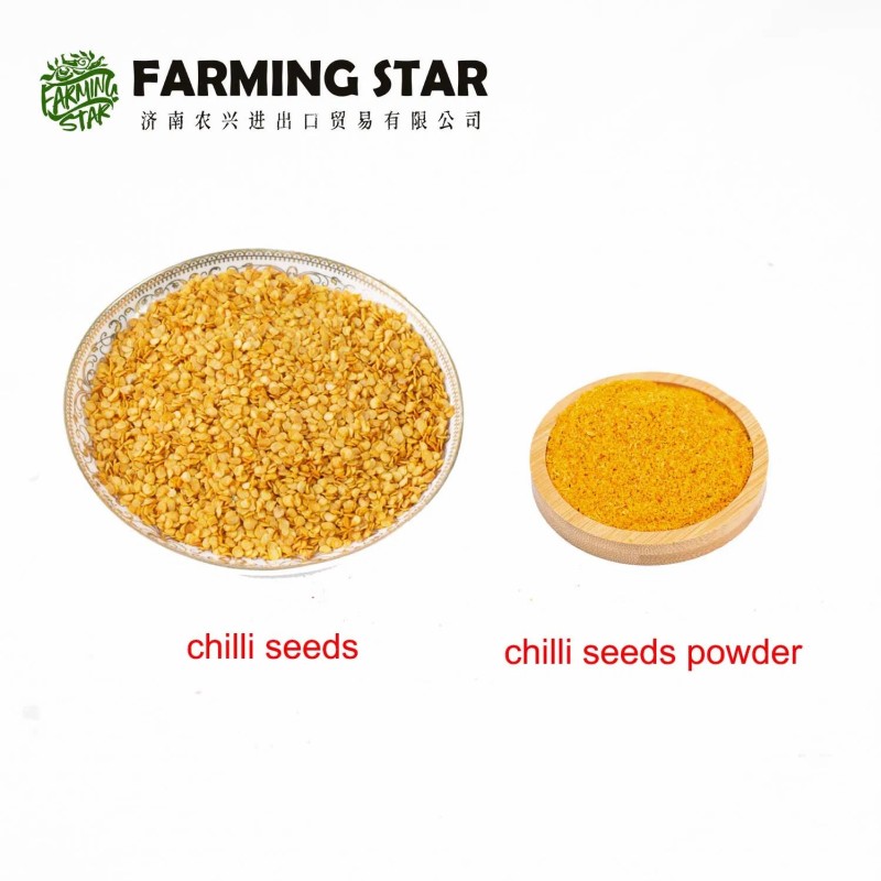 Specialized Chilli Paprika Pepper Factory Export Sweet Paprika and Hot Chilli Seeds Sweet Pepper Capsicum