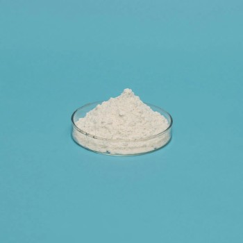 China Factory Manufacture Vital Wheat Gluten / Wheat Gluten Pellets 82%, 75%