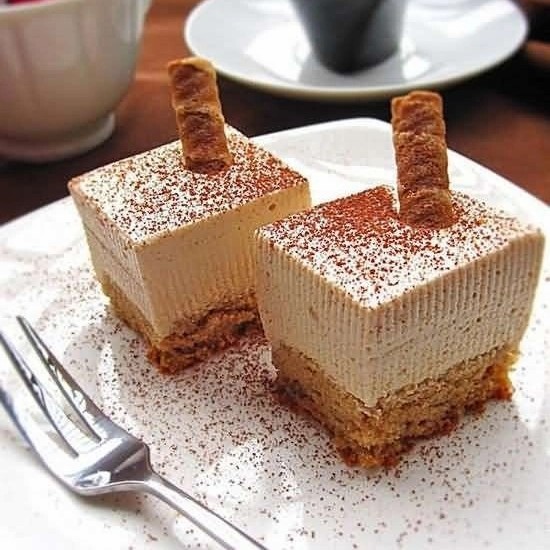 Fat Powder -Vegetable Fat Powder 80%