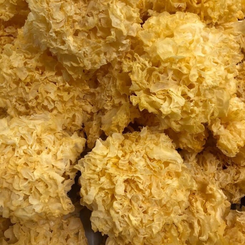 Premium Natural Dried Tremella - Fujian Origin, High Quality Edible Fungus