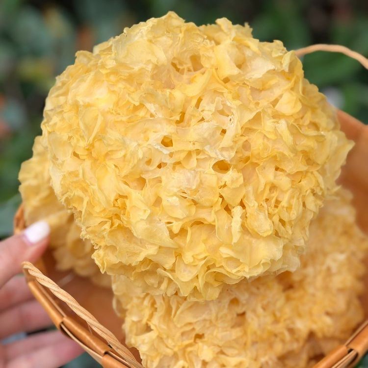 Premium Natural Dried Tremella - Fujian Origin, High Quality Edible Fungus