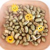 Yellow Edamame Roasted and Salted Popular Snack in Europe