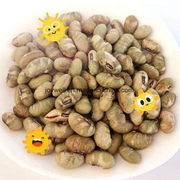 Yellow Edamame Roasted and Salted Popular Snack in Europe