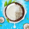 Factory Supplied Coconut Diglyceride Powder for Nutrition Supply