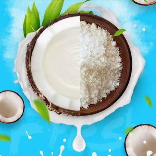 Factory Supplied Coconut Diglyceride Powder for Nutrition Supply