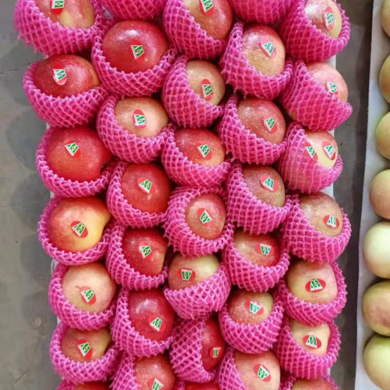 2025 Fresh Apple Red Gala