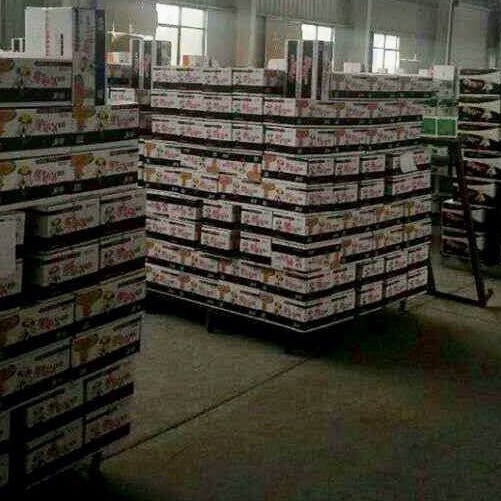 Hot 2X Spicy Pepper Chicken Flavour Instant Ramen Fried Noodles OEM Brand Halal