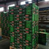 Wholesale Beer Prices Alcoholic Beverage OEM Brand Beer 330ml Can Beer
