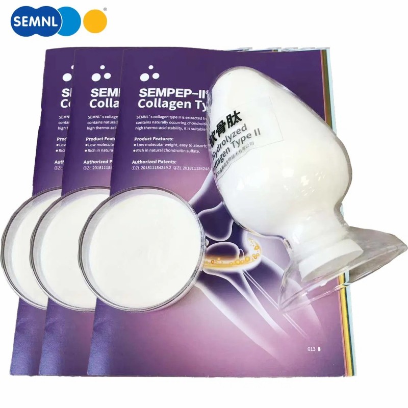 Collagen Type II for Joint Health Ingredient