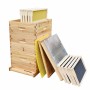Factory Wholesale Beekeeping Equipment Langstroth Beehive Kit Bee Hive Box