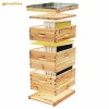 Factory Wholesale Beekeeping Equipment Langstroth Beehive Kit Bee Hive Box