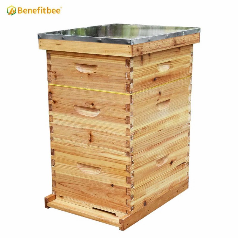 Factory Wholesale Beekeeping Equipment Langstroth Beehive Kit Bee Hive Box