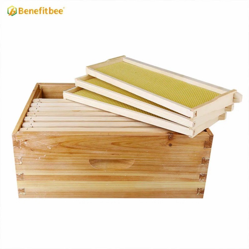 Factory Wholesale Beekeeping Equipment Langstroth Beehive Kit Bee Hive Box