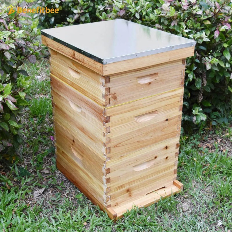 Factory Wholesale Beekeeping Equipment Langstroth Beehive Kit Bee Hive Box