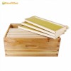 Factory Wholesale Beekeeping Equipment Langstroth Beehive Kit Bee Hive Box