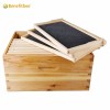 Factory Wholesale Beekeeping Equipment Langstroth Beehive Kit Bee Hive Box