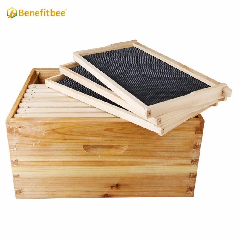 Factory Wholesale Beekeeping Equipment Langstroth Beehive Kit Bee Hive Box
