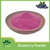 Natural Blueberry Recipes