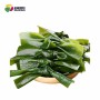 Organic Shirakiku Dried Dashi Kombu Kelp Konbu, Dashima or Haidai Kombu Seaweed Algae