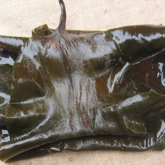 Organic Shirakiku Dried Dashi Kombu Kelp Konbu, Dashima or Haidai Kombu Seaweed Algae