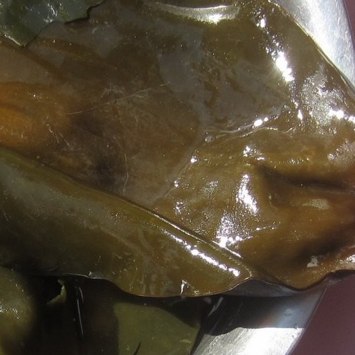 Organic Shirakiku Dried Dashi Kombu Kelp Konbu, Dashima or Haidai Kombu Seaweed Algae