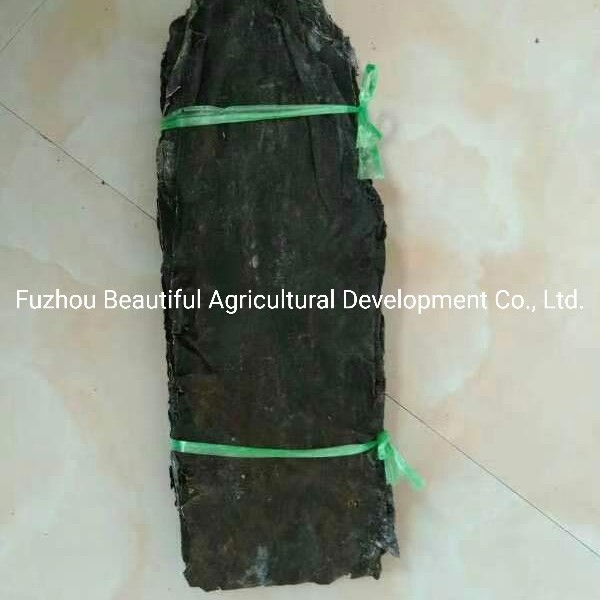 Sea Kelp/Sea Kale Cut Dried for SPA