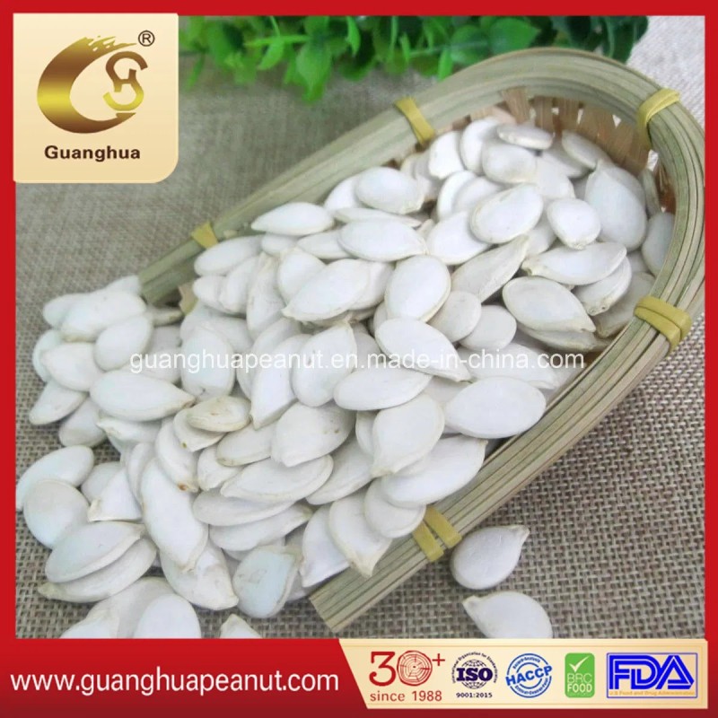 New Crop Pumpkin Seeds 2025 From China