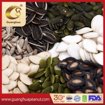New Crop Pumpkin Seeds 2025 From China