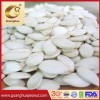 New Crop Pumpkin Seeds 2025 From China
